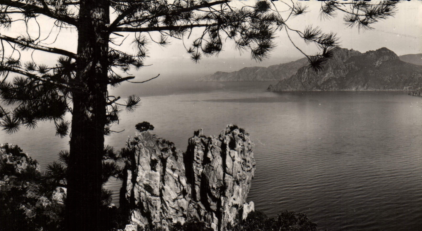 MODERN CARD Creeks De Piana