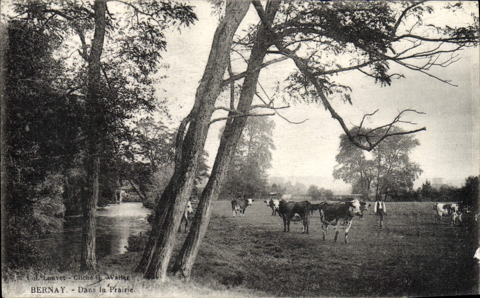 VINTAGE POSTCARD Bernay In the Meadow Shepherd Cows