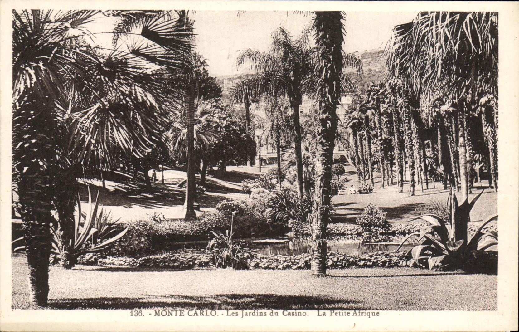 CPA Monte Carlo Les Jardins du casino La petite Afrique