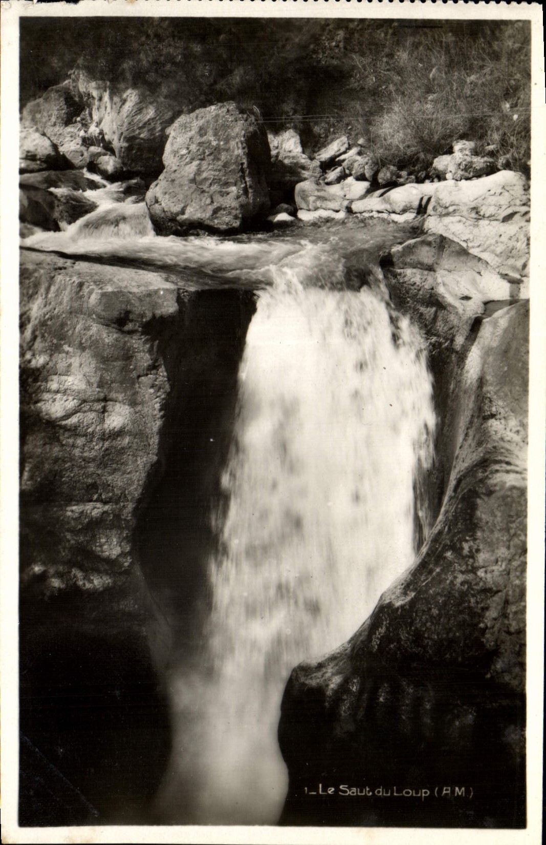 MODERN CARD the jump of the wolf