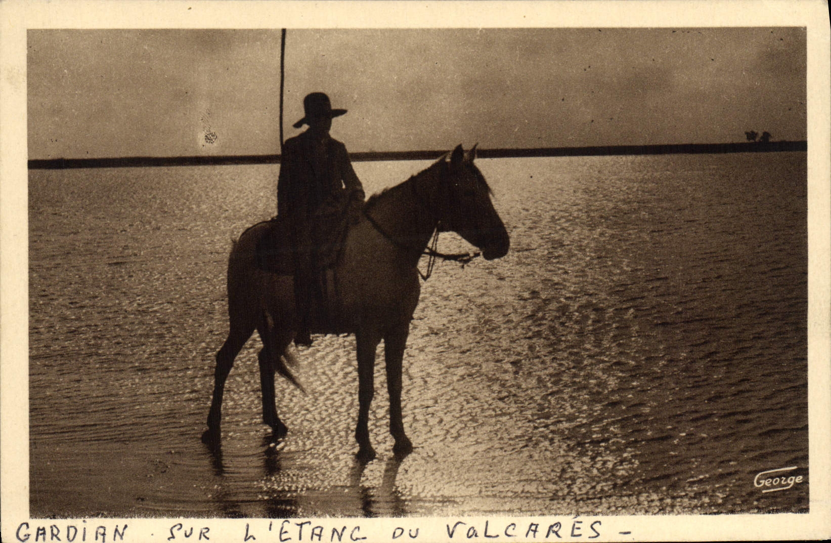 CPA En Camargue Gardian sur l'etang de Valcares Cheval