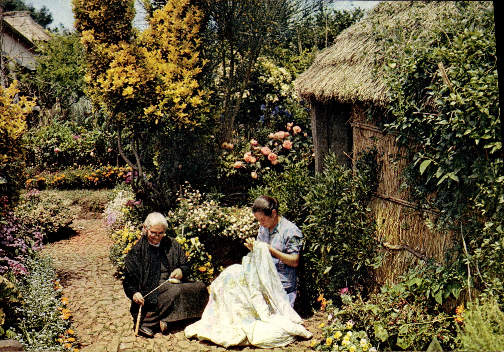 CPM Embroidery and Soinning in a Country Garden Madeira