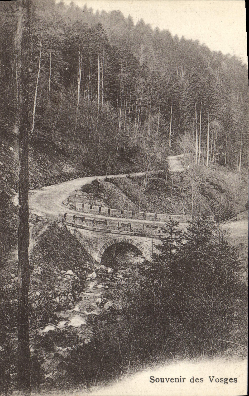 VINTAGE POSTCARD the Vosges Souvenir