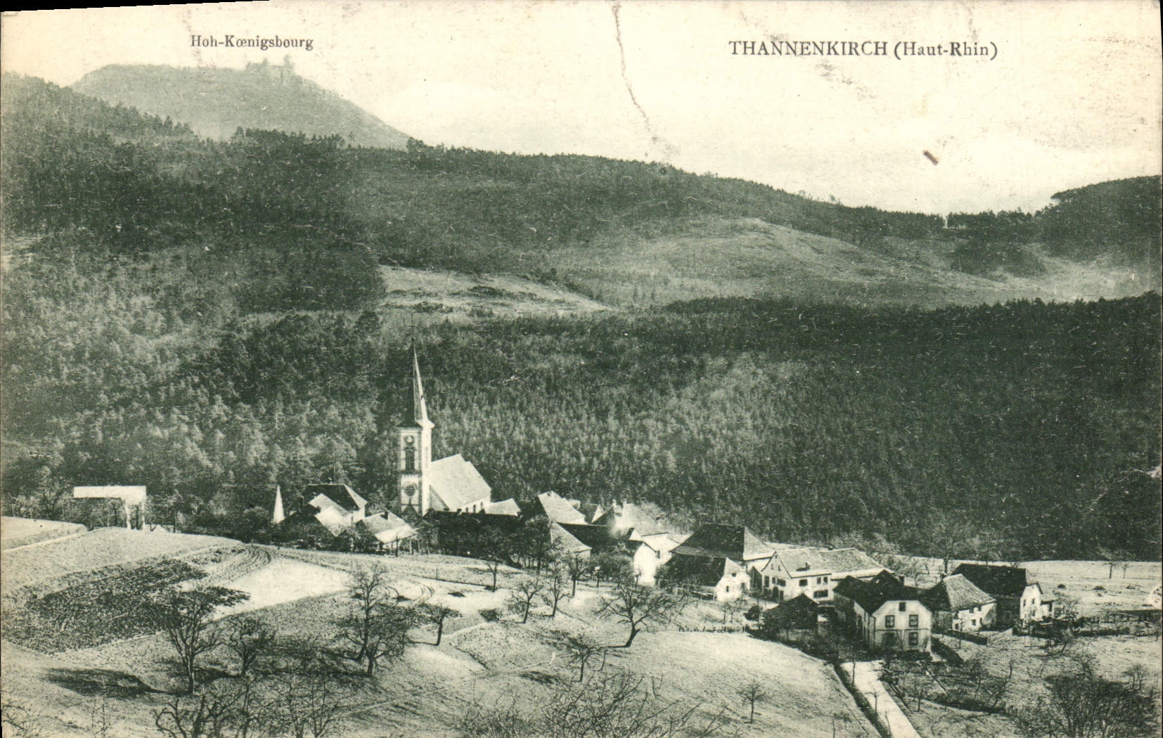 POSTAL Thannenkirch de la VENDIMIA