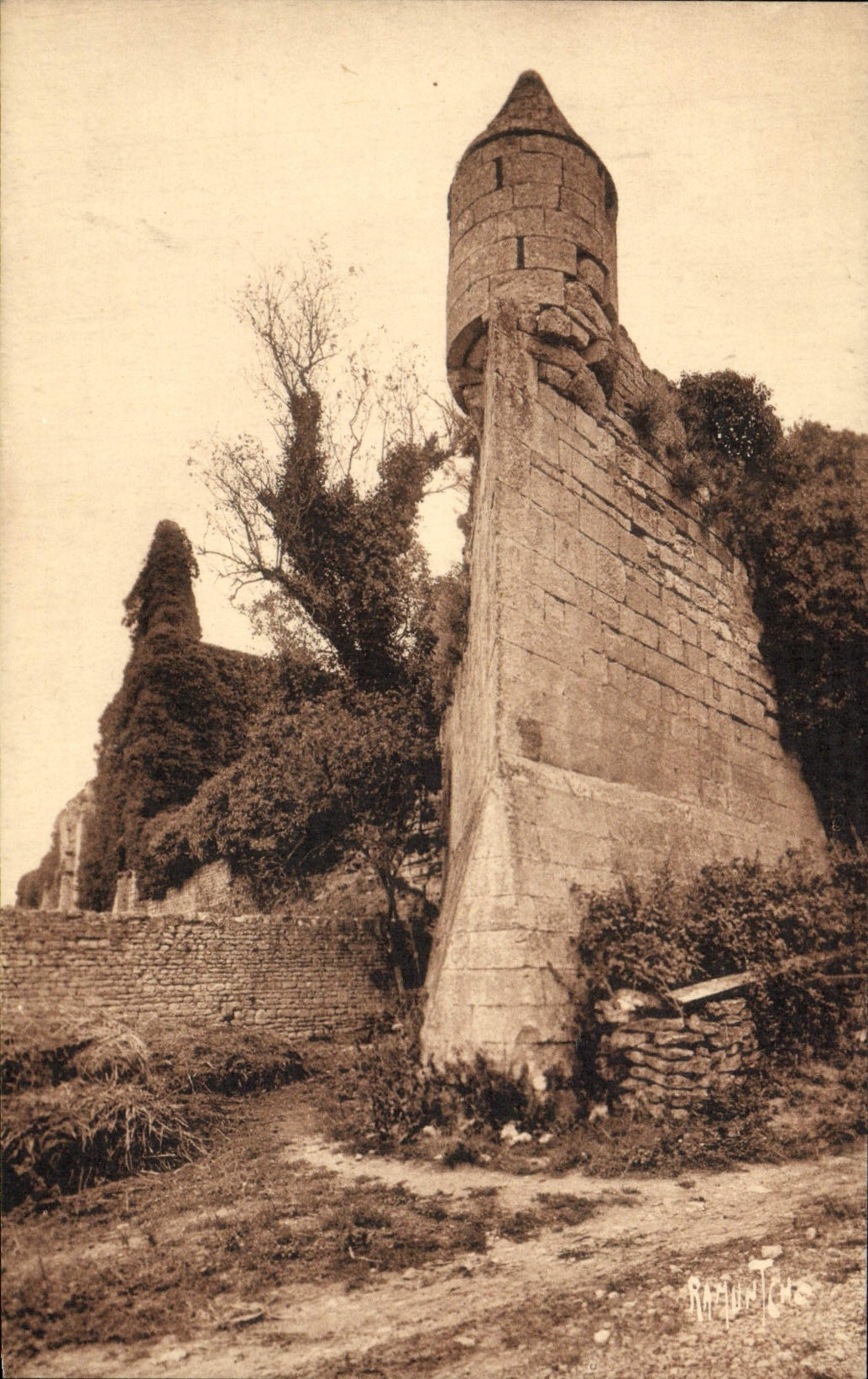 VINTAGE POSTCARD Maillezais Religious architecture of Poitou Walls of the old abbey