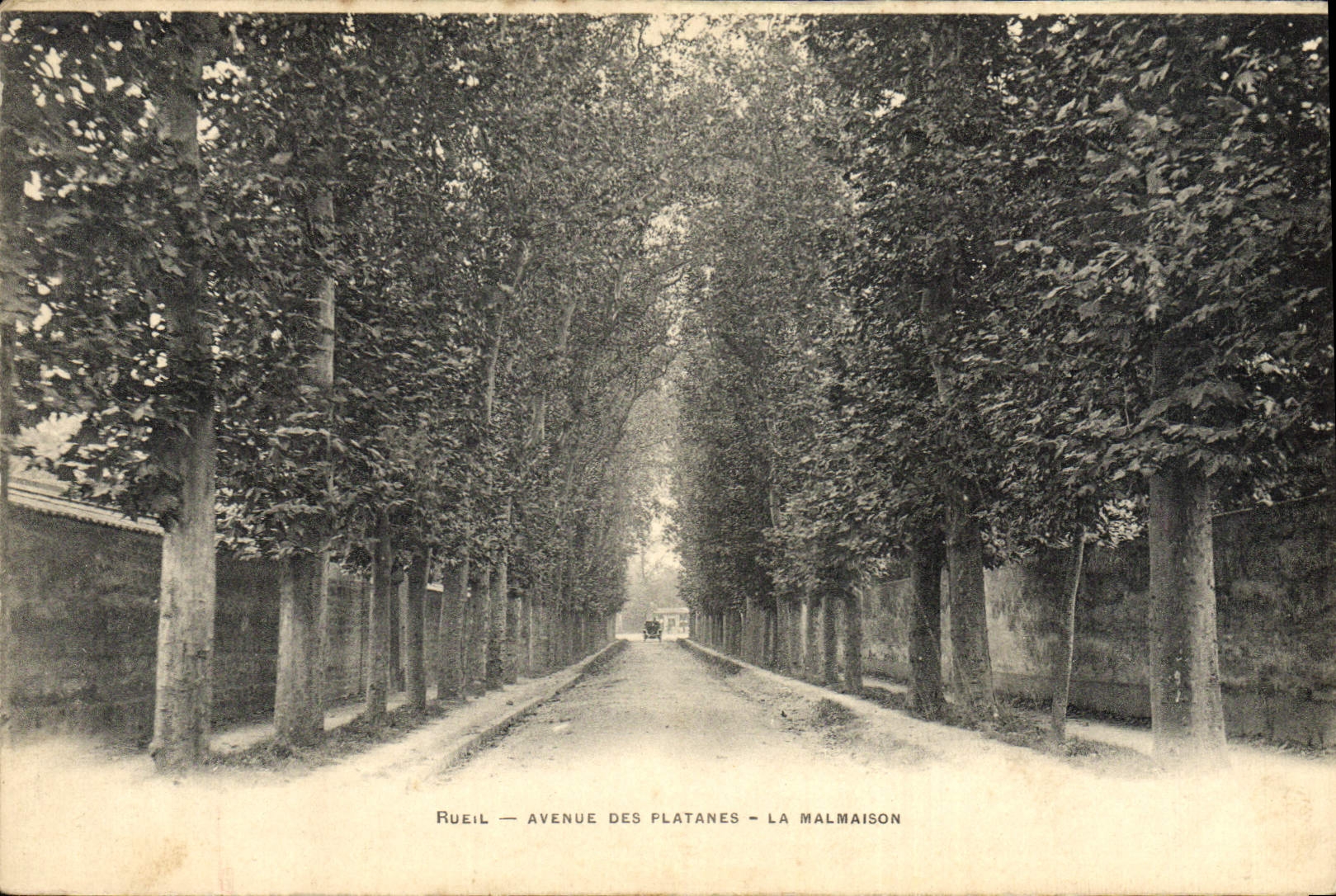 CPA Rueil Avenue Des platanes La Malmaison