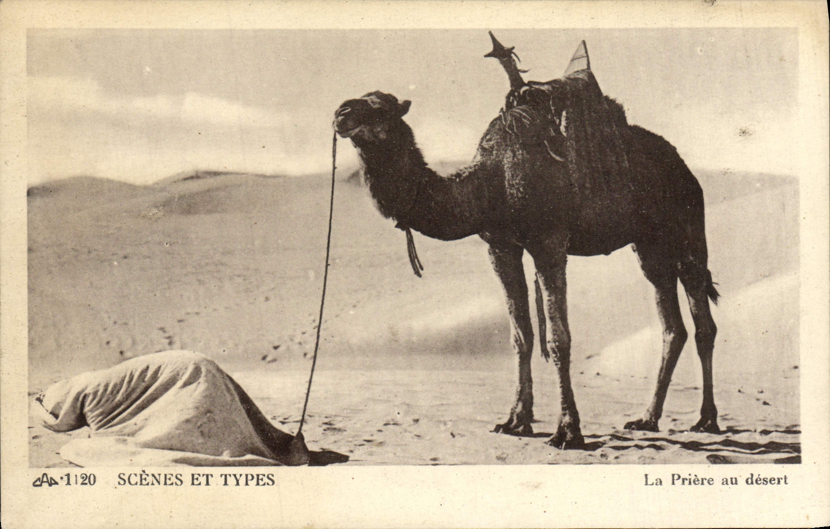 CPA Scenes Et Types La Priere Au Desert Chameau