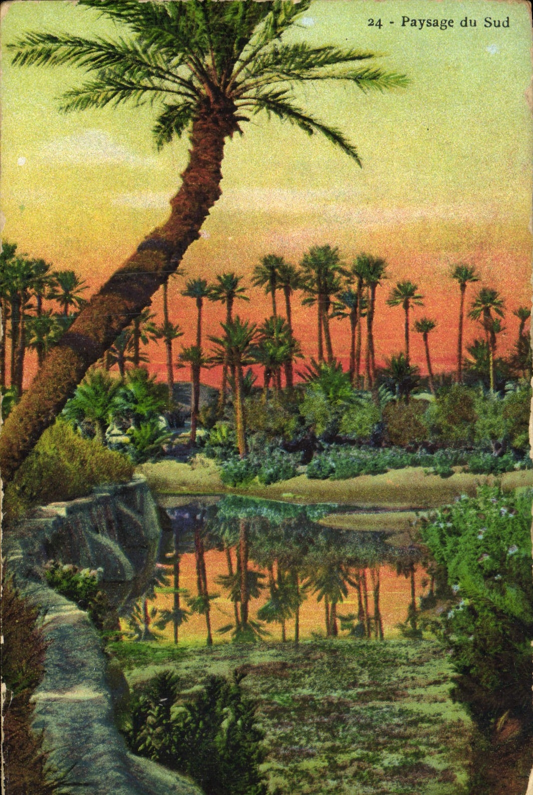 VINTAGE POSTCARD Landscape of the South