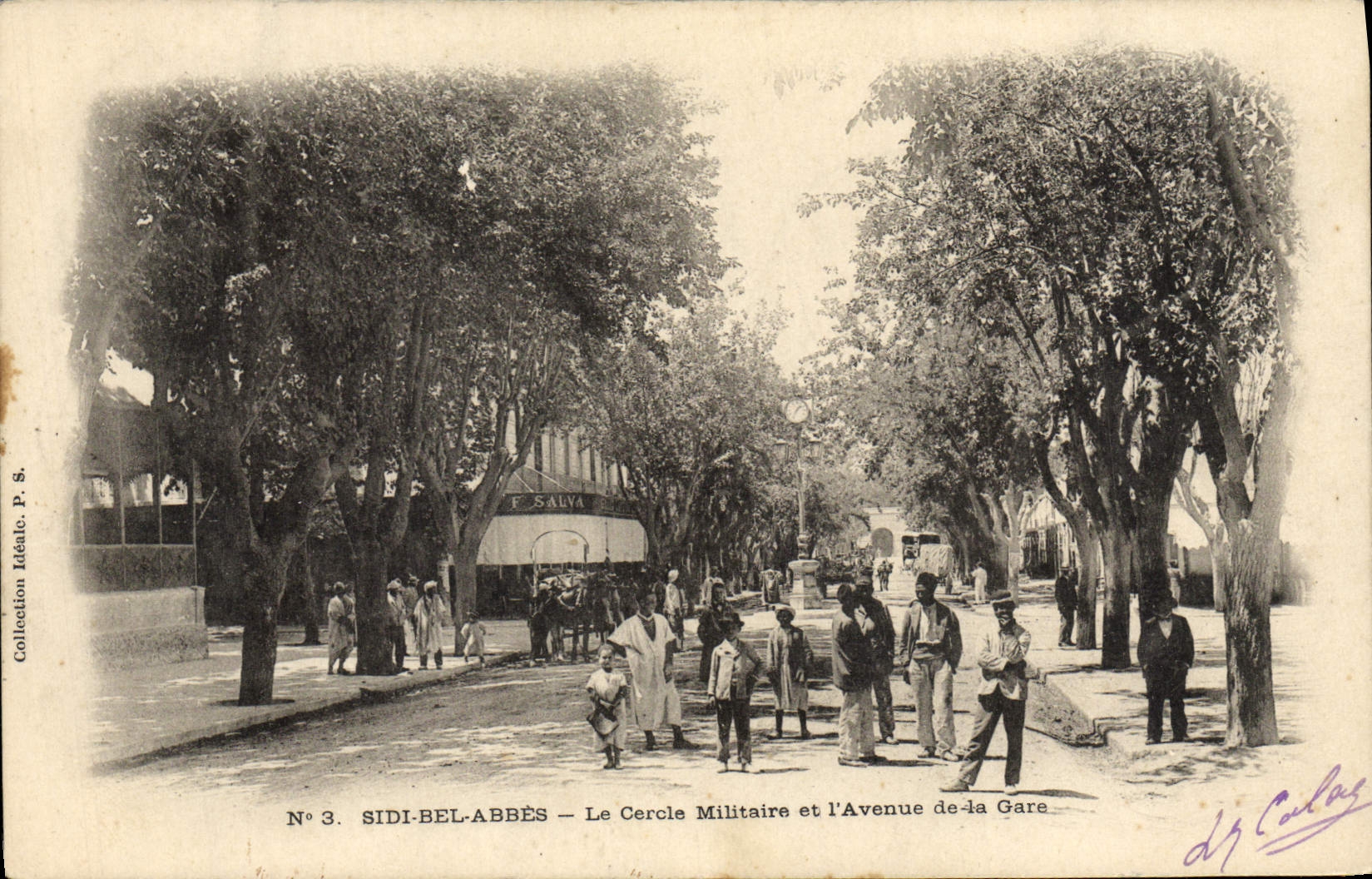 VINTAGE POSTCARD Sidi Bel Abbès Military Cercie And the Avenue Of the Station