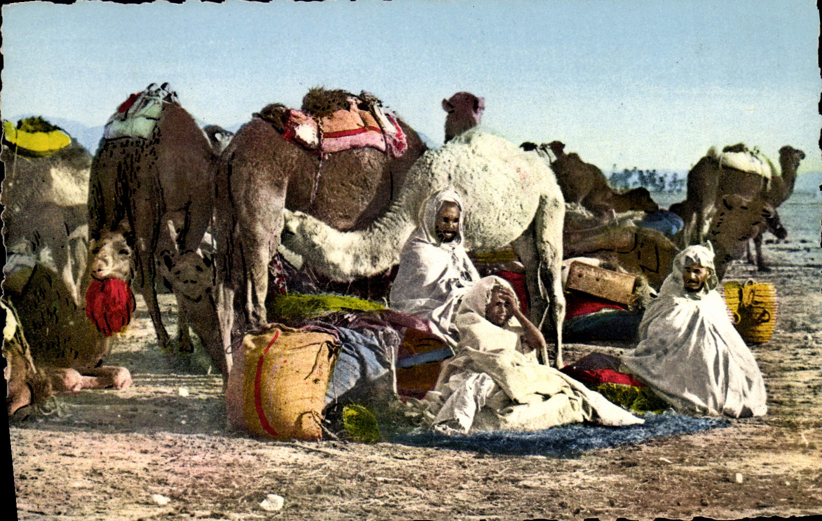 CPA Scenes and Types d'Afrique du Nord La halte des chameliers Chameaux 