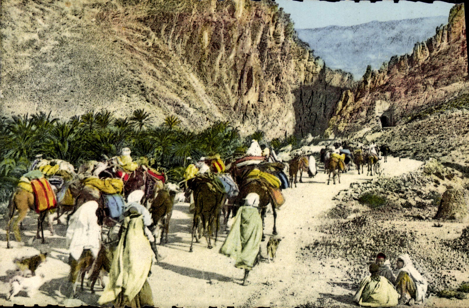 CPA Scenes and Types d'Afrique du Nord Dans les gorges d'El Kantara Chameaux 