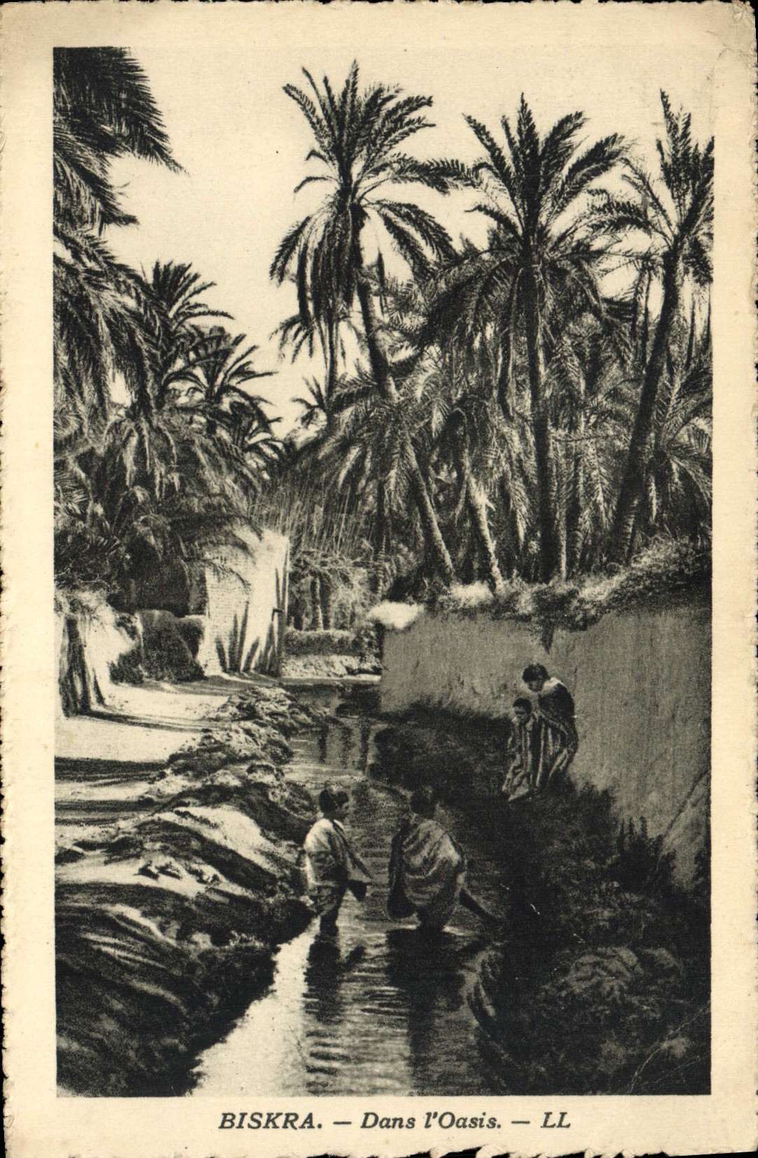 VINTAGE POSTCARD Biskra In the Oasis