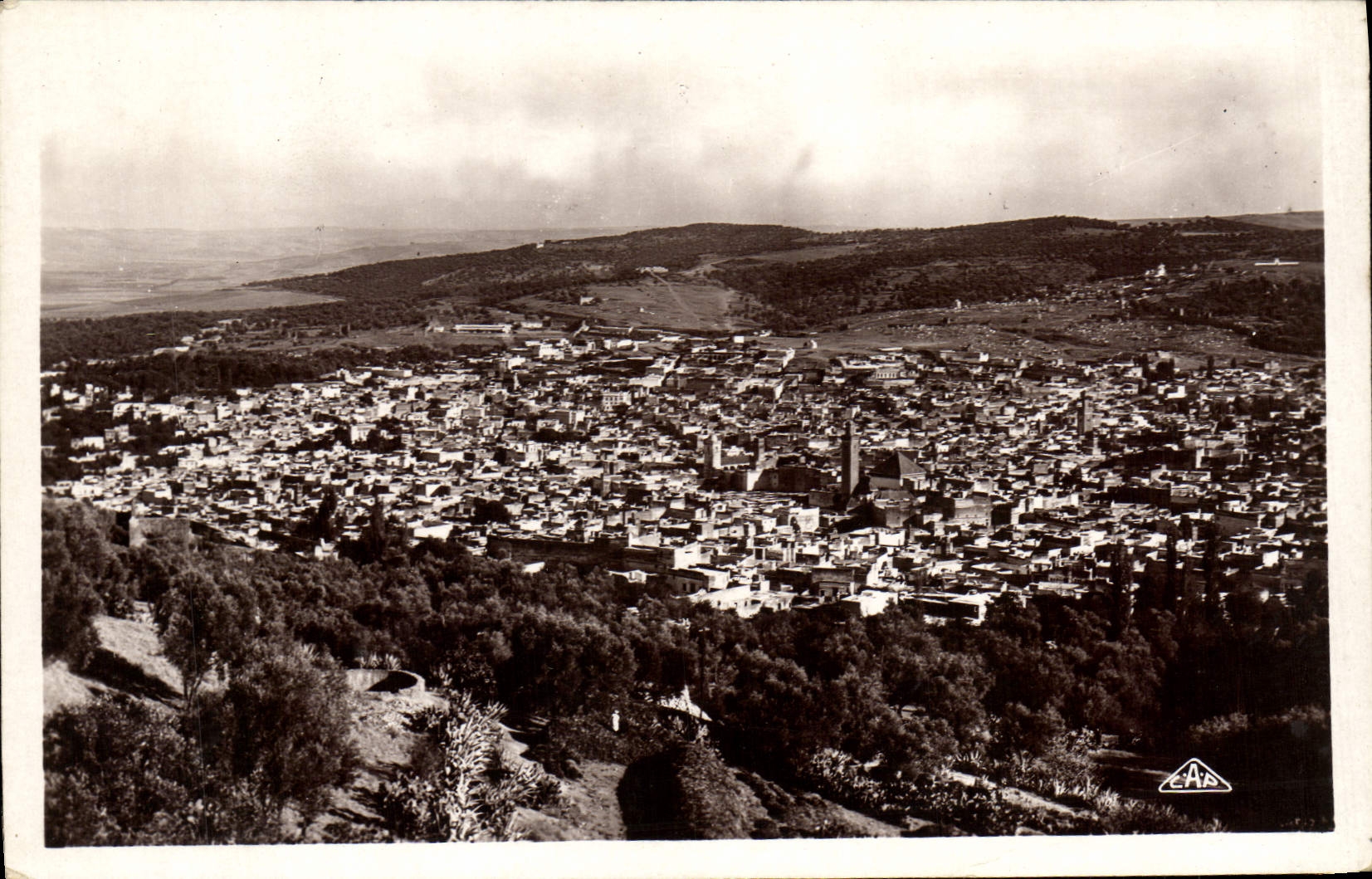 Opinión de Fes de la POSTAL de la VENDIMIA tomada de la parte meridional