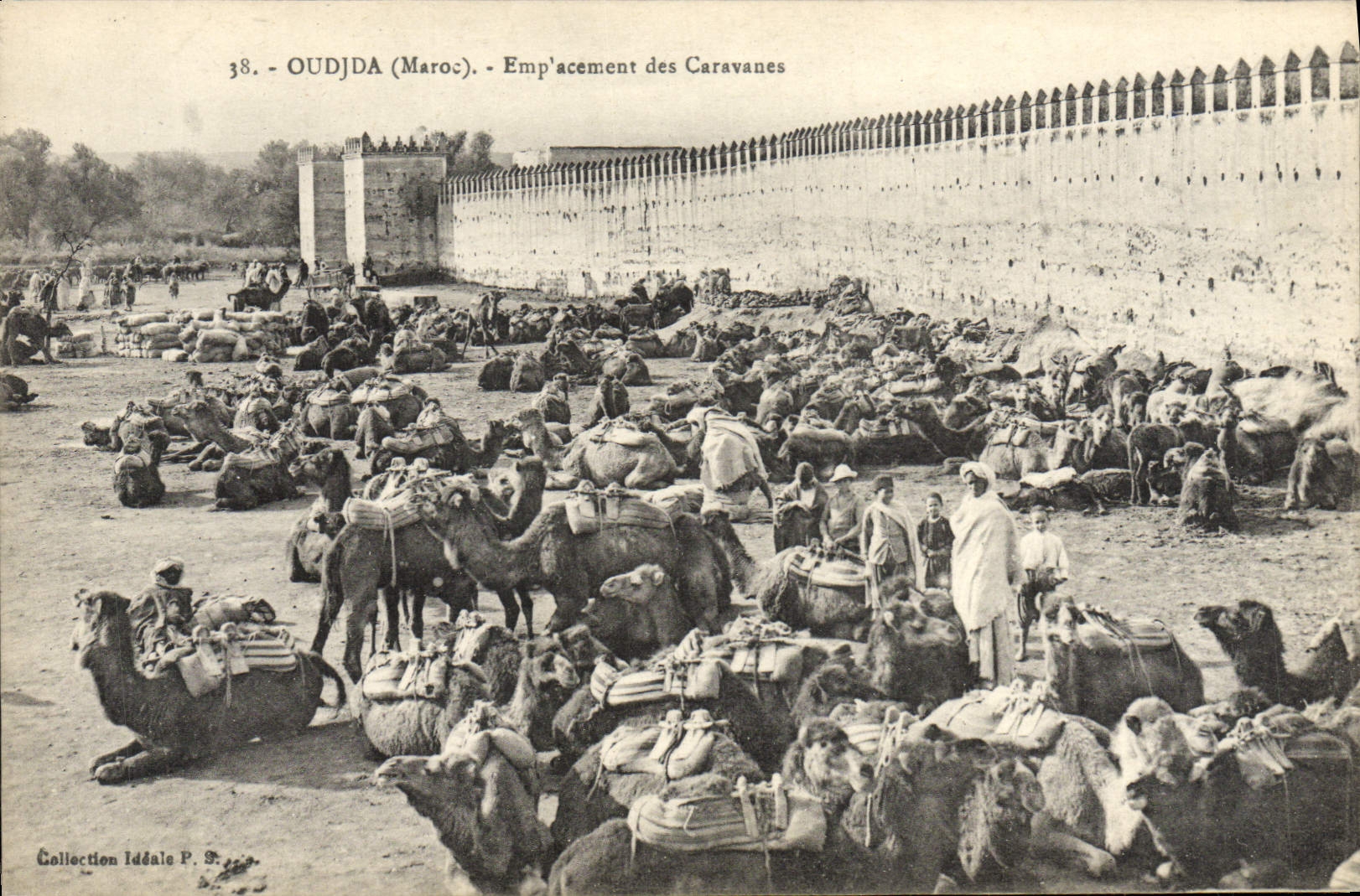 CPA Oudjda Emplacement des Caravanes Chameaux