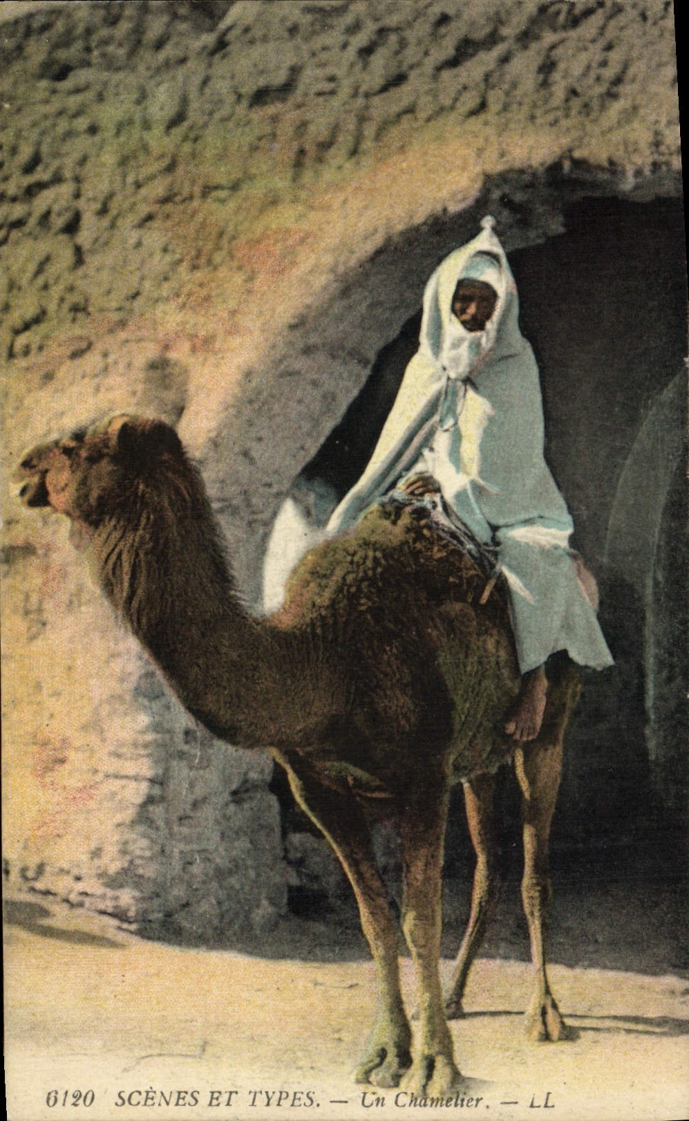 Escenas y tipos de la POSTAL de la VENDIMIA un camello del conductor del camello