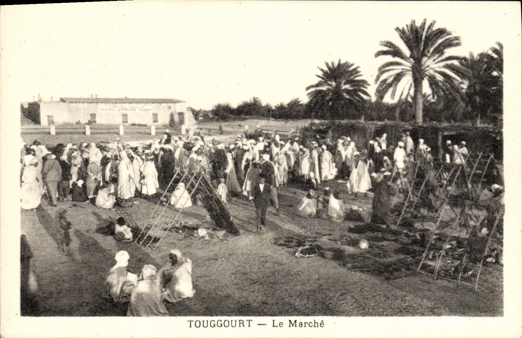 Mercado de Touggourt de la POSTAL de la VENDIMIA