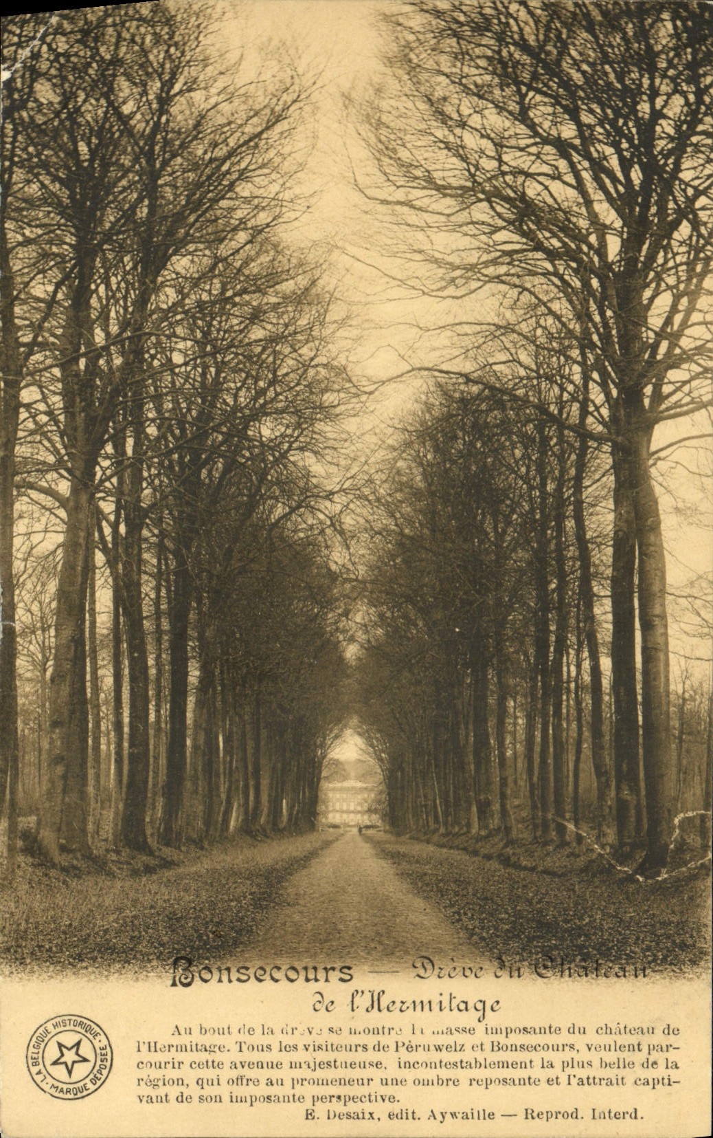 VINTAGE POSTCARD Bonsecours Dreve of the castle of the Hermitage