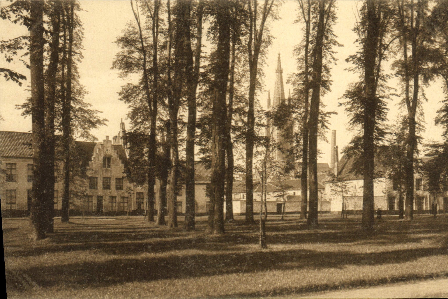 CPA Bruges Le Beguinage