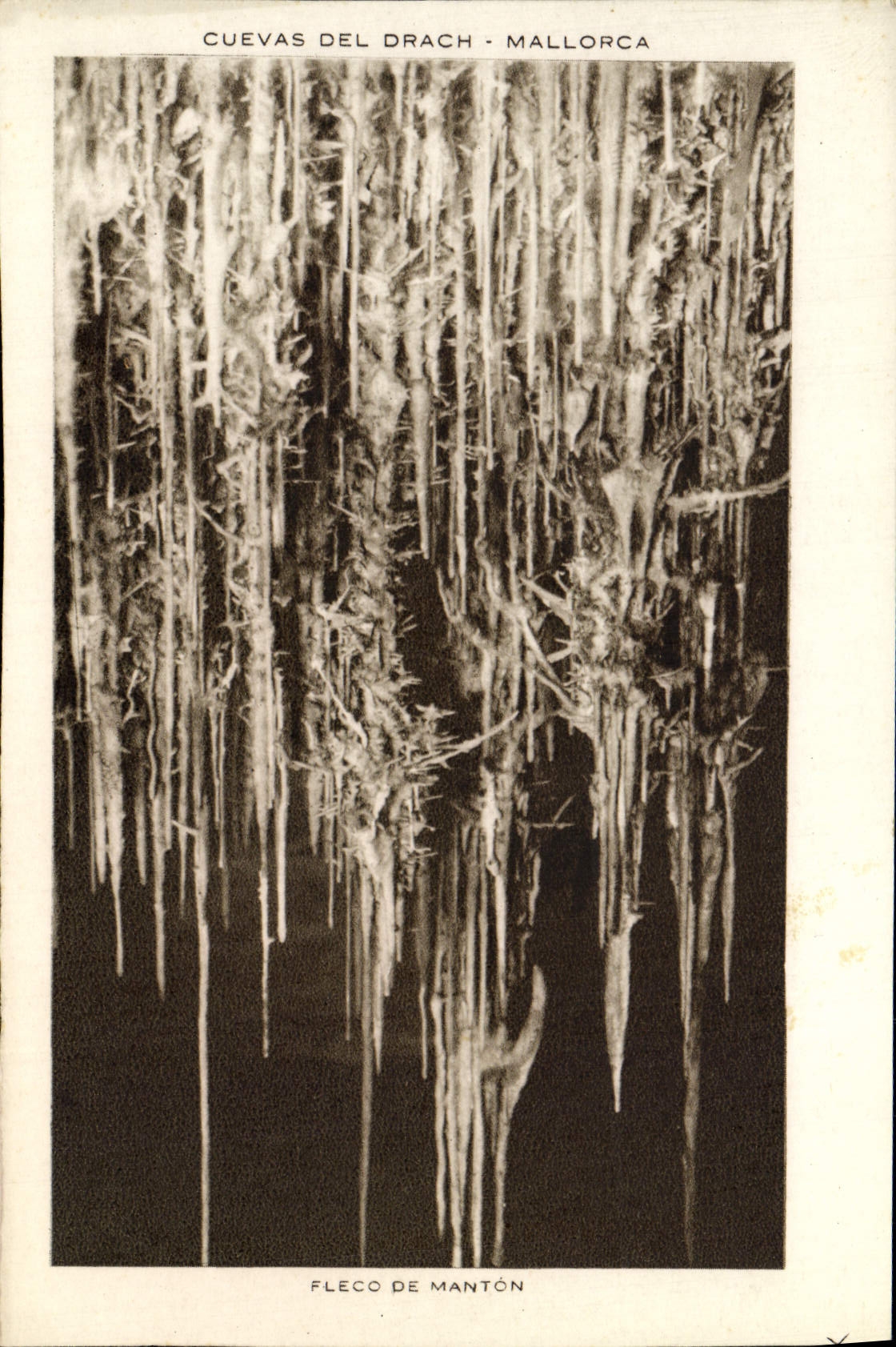 CPA Cuevas Del Drach Mallorca
