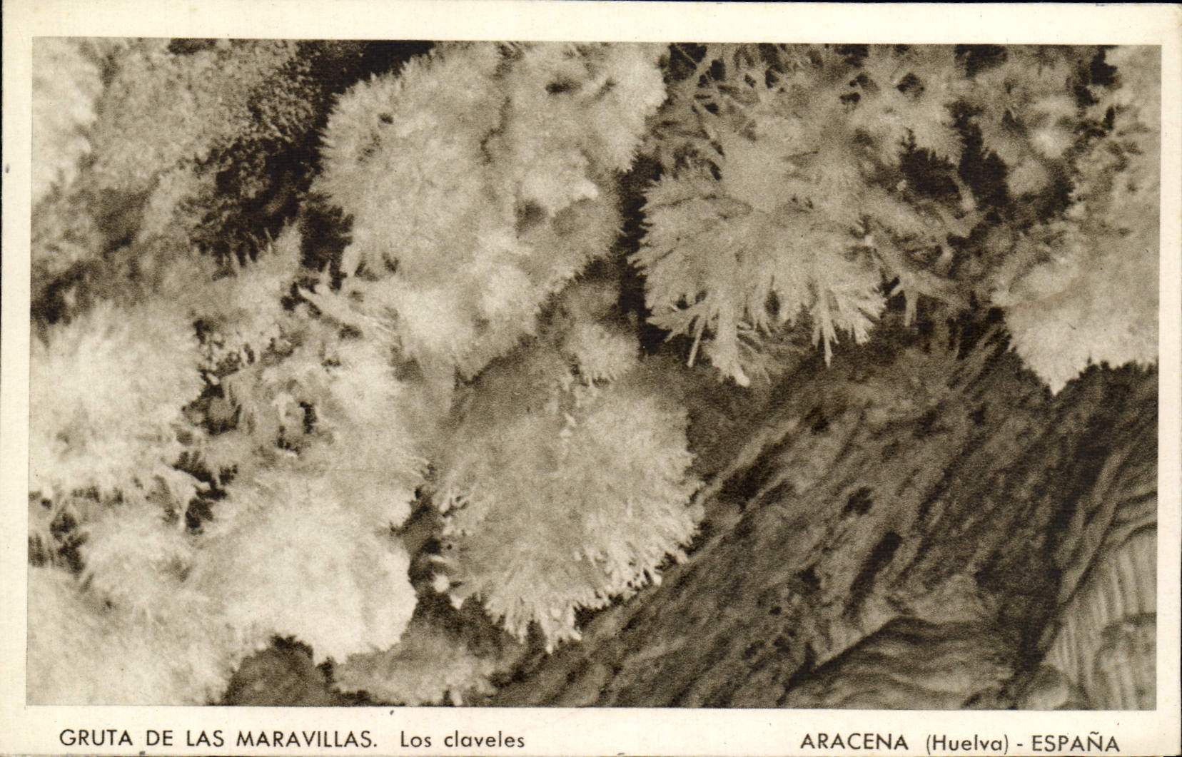 CPA Huelva Aracena Espana Gruta de las Maravillas Las Claveles