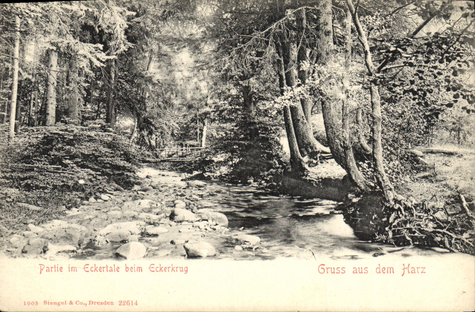 VINTAGE POSTCARD Part im Eckertale beim Eckerkrug Gruss aus dem Harz