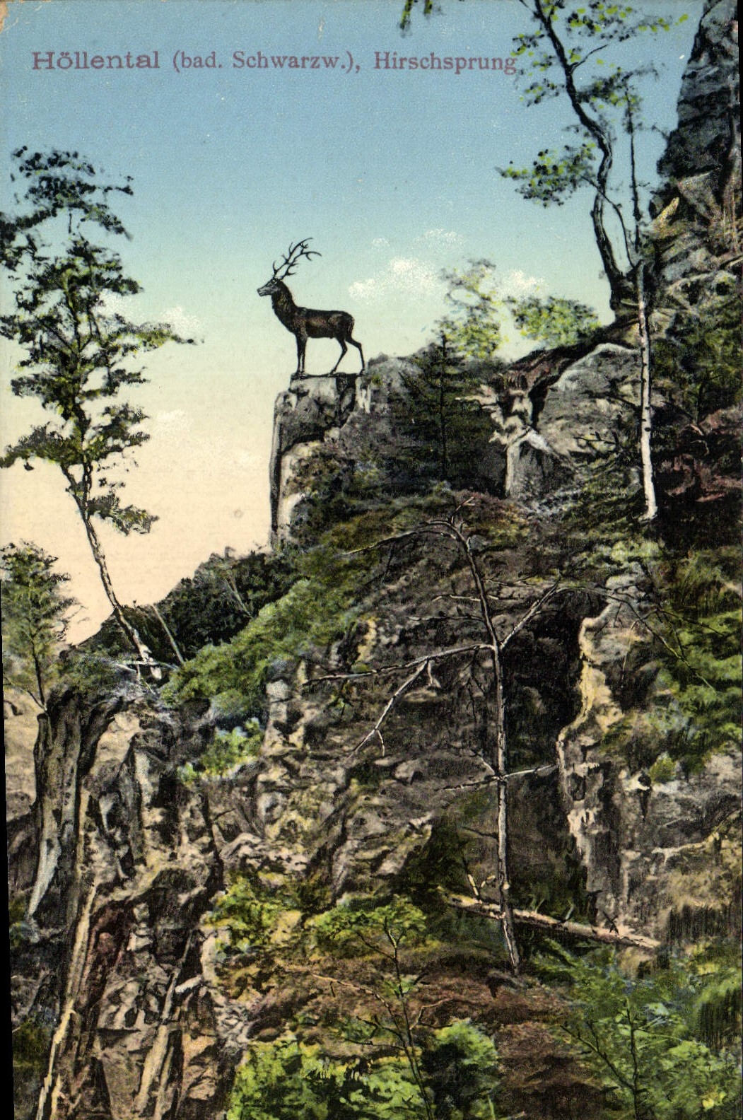 VINTAGE POSTCARD Hollental Hirschsprune