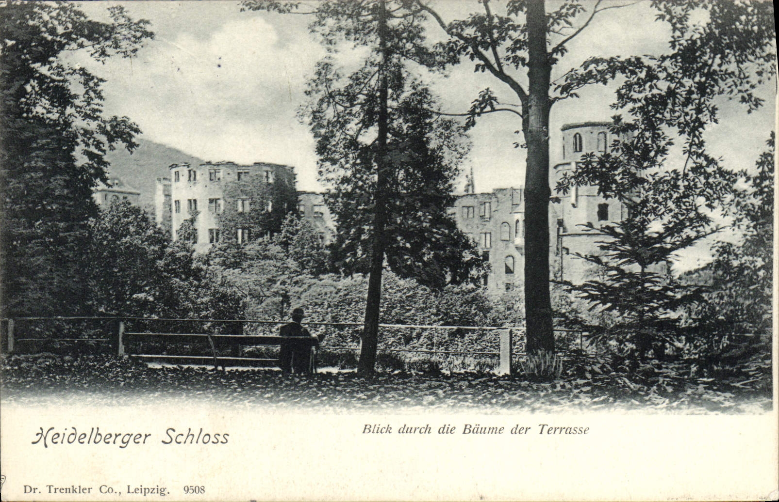 CPA Heidelberger Schloss blick durch die Baume der TErrasse