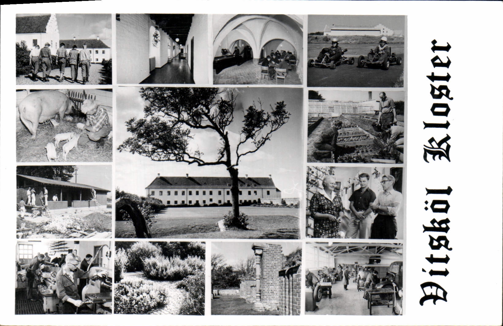 POSTAL Vitskol Kloster de la VENDIMIA