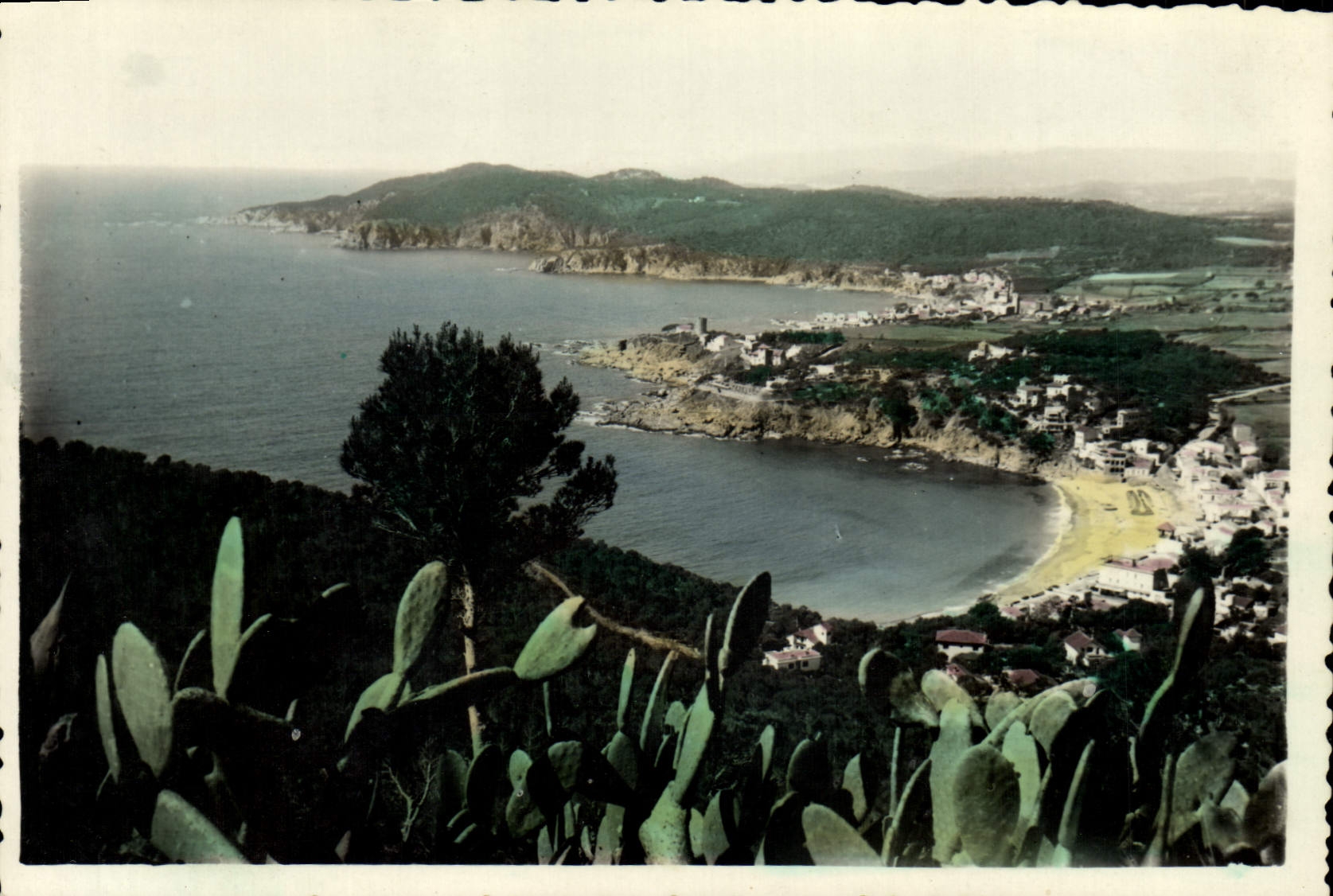 CPM Costa Brava palafrugell