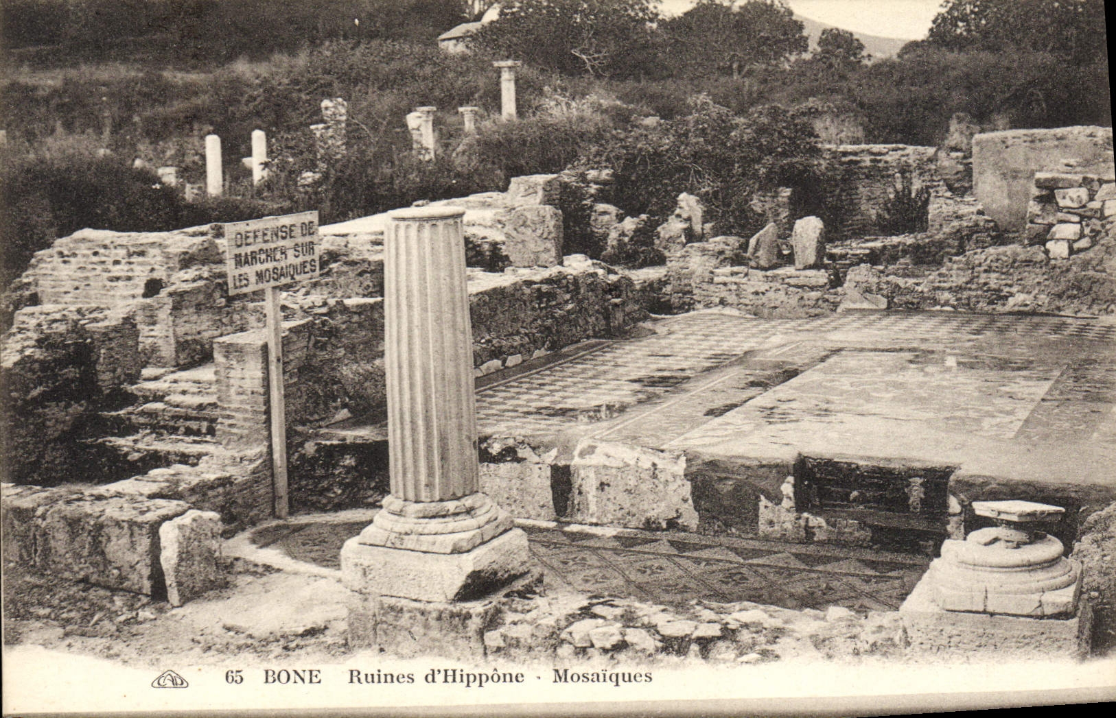 VINTAGE POSTCARD Bone Mosaic Ruins D' Hippone
