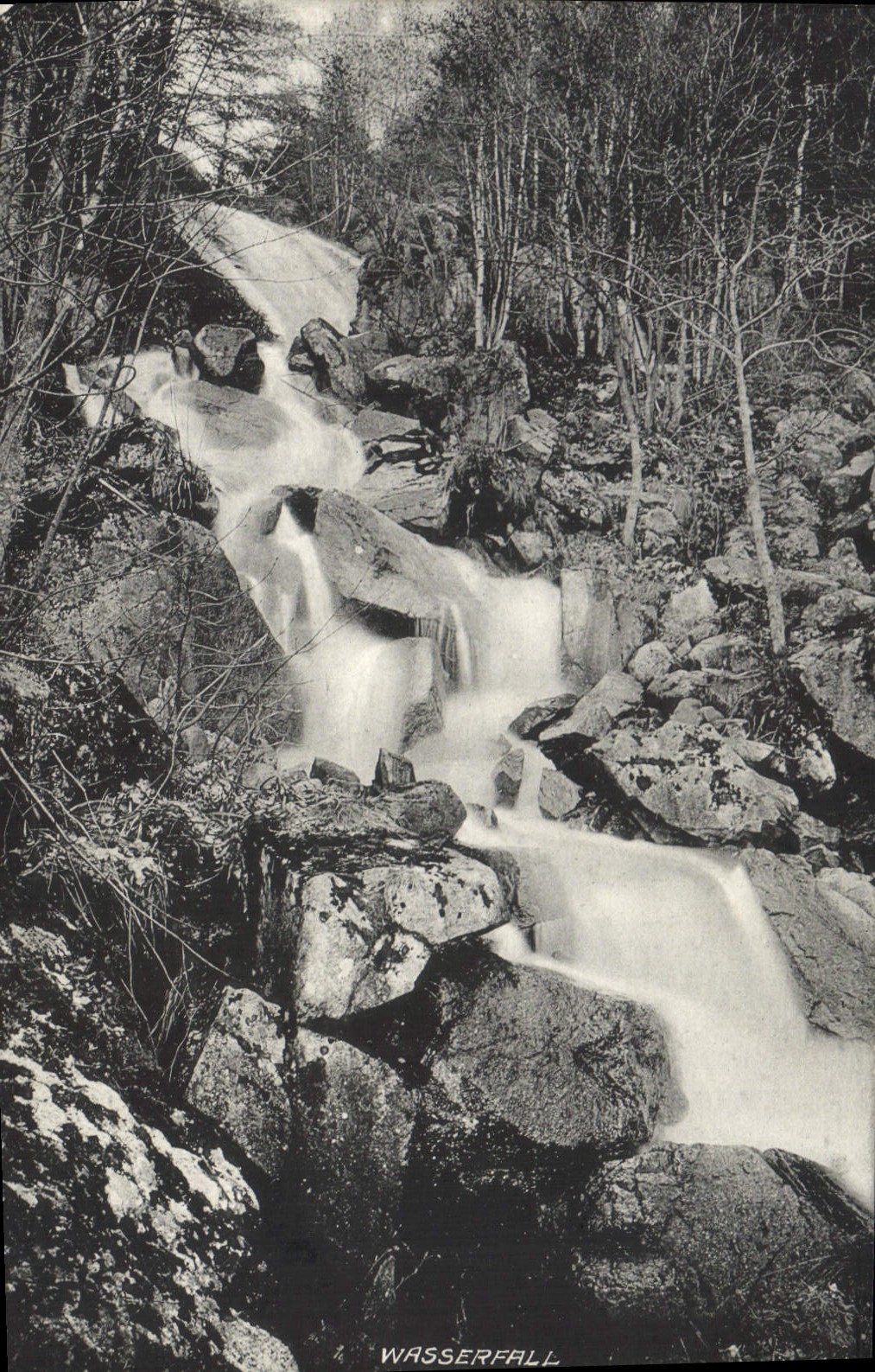 El vom Weissen de Wasserfall de la POSTAL de la VENDIMIA considera