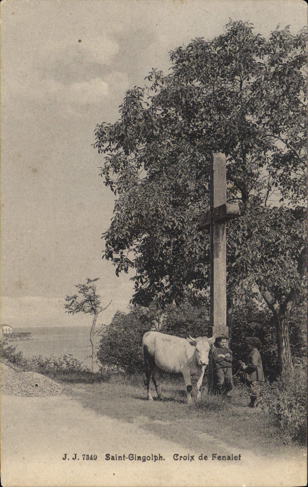 VINTAGE POSTCARD Holy Gingolph Cross De Fenalet Children Cow