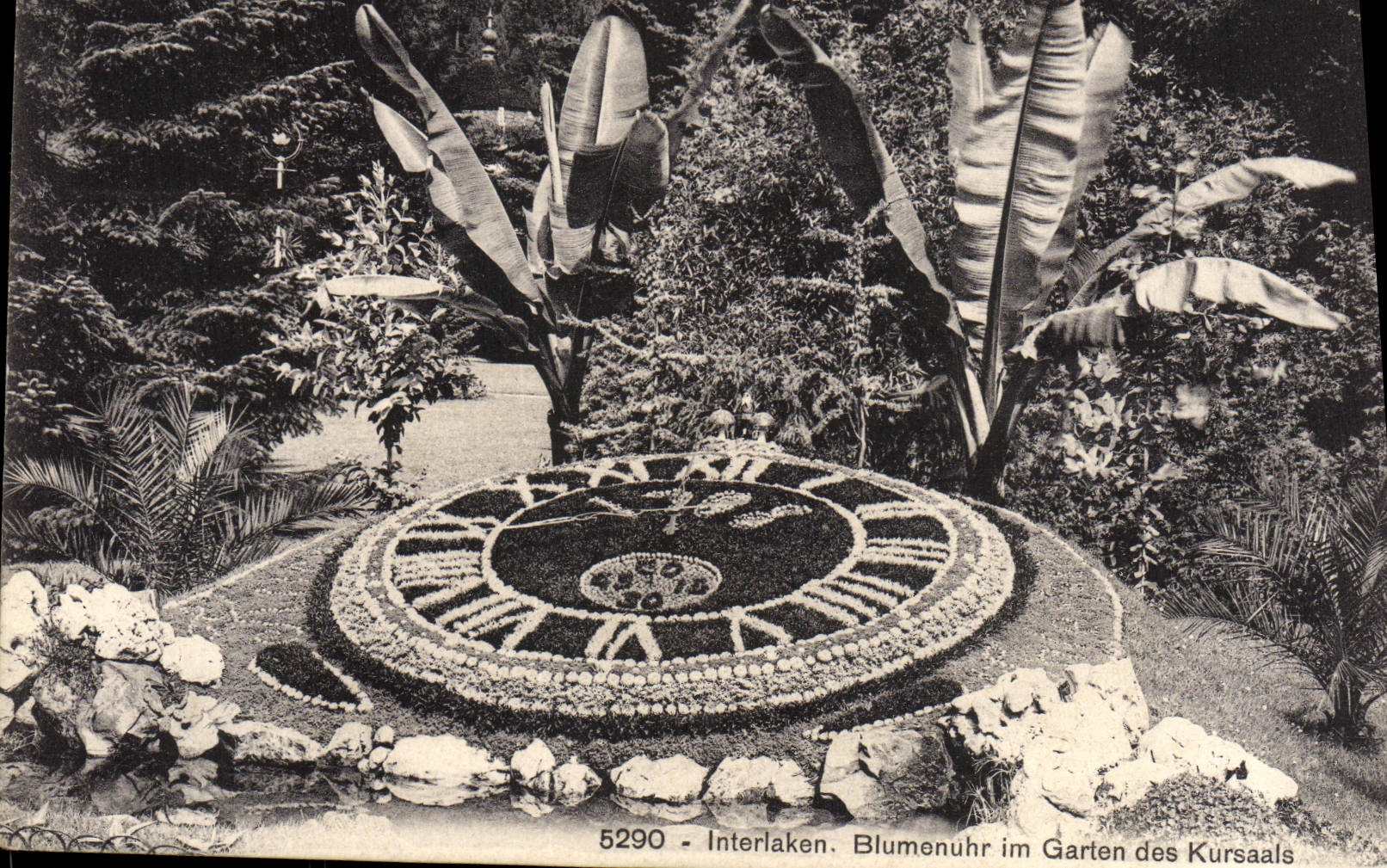 CPA Interlaken Blumenuhr im Garten des Kursaals