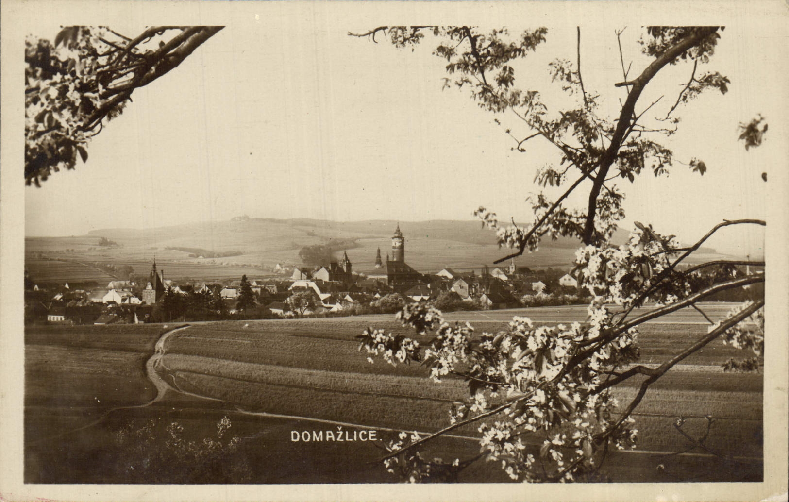 VINTAGE POSTCARD Domazlice