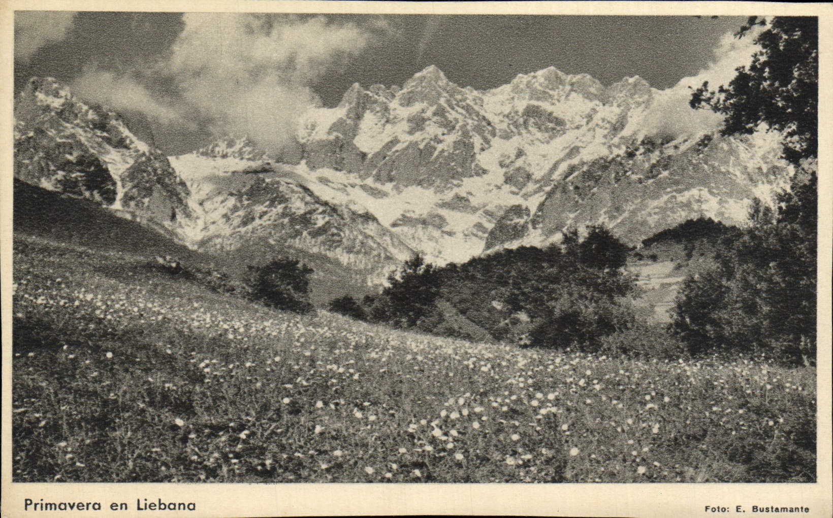 CPA Primavera En Liebana