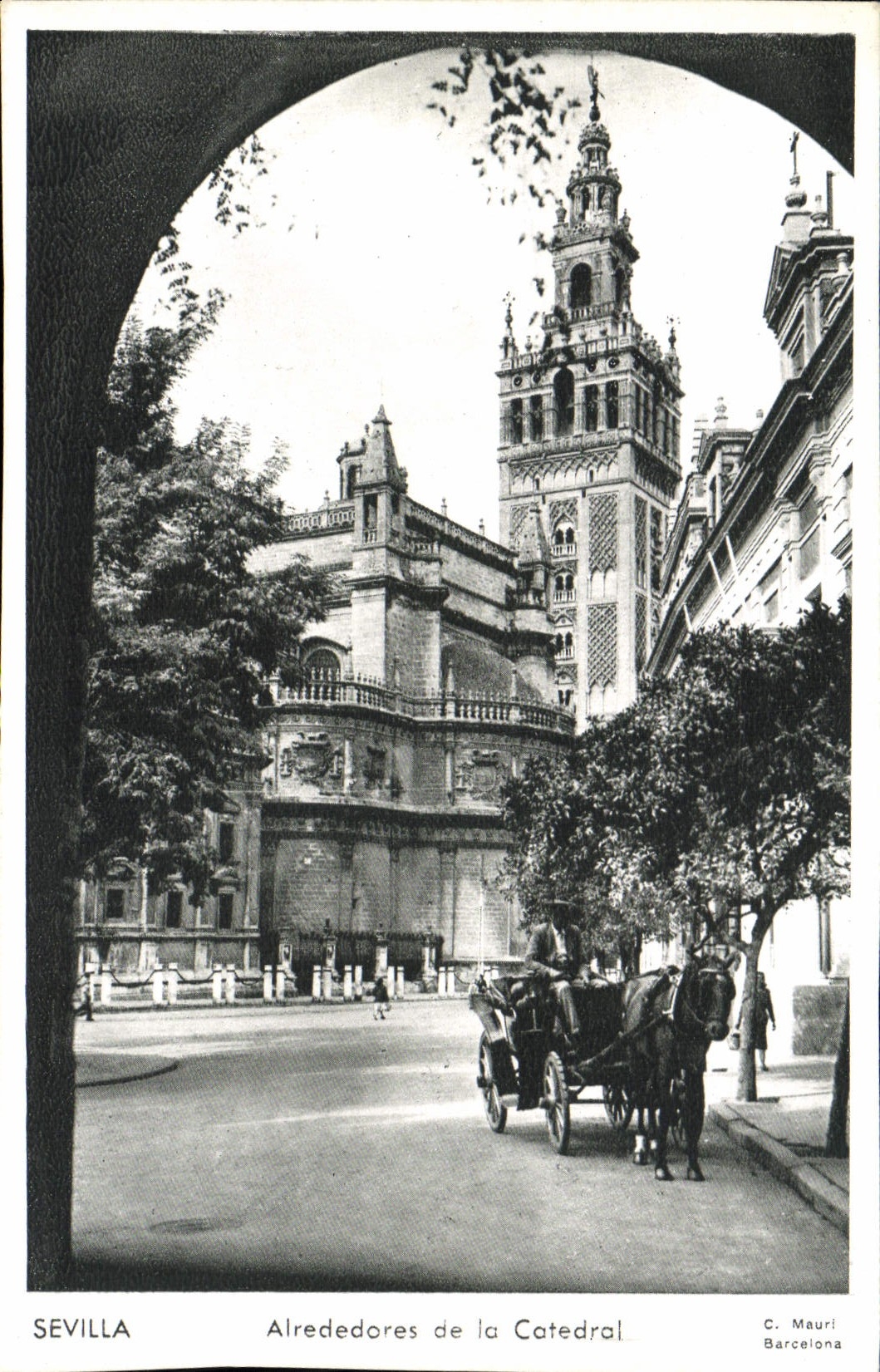 VINTAGE POSTCARD Sevilla Alrededores Of Catedral