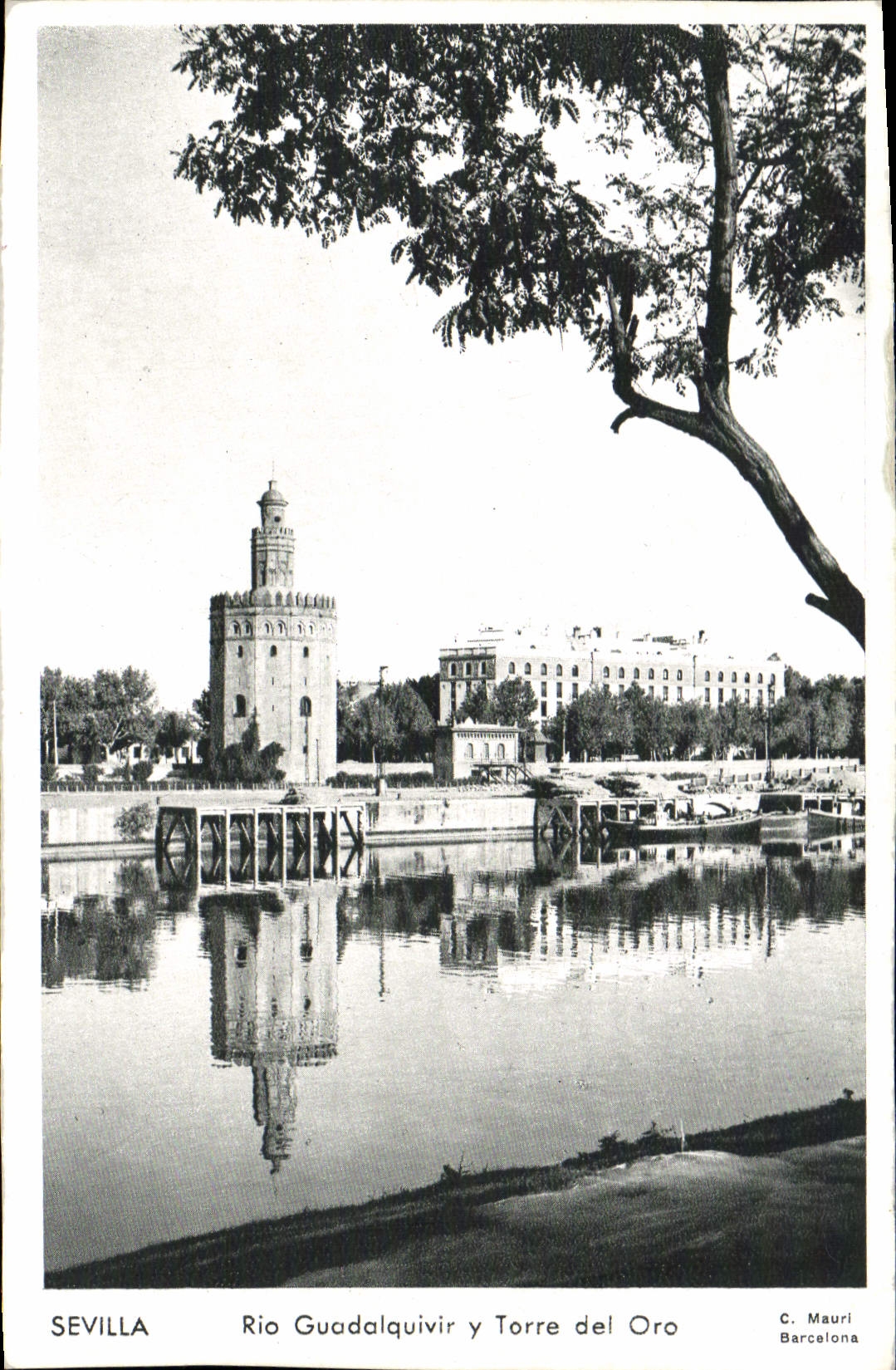 CPA Sevilla Rio Guadalquivir Y Torre Del Oro