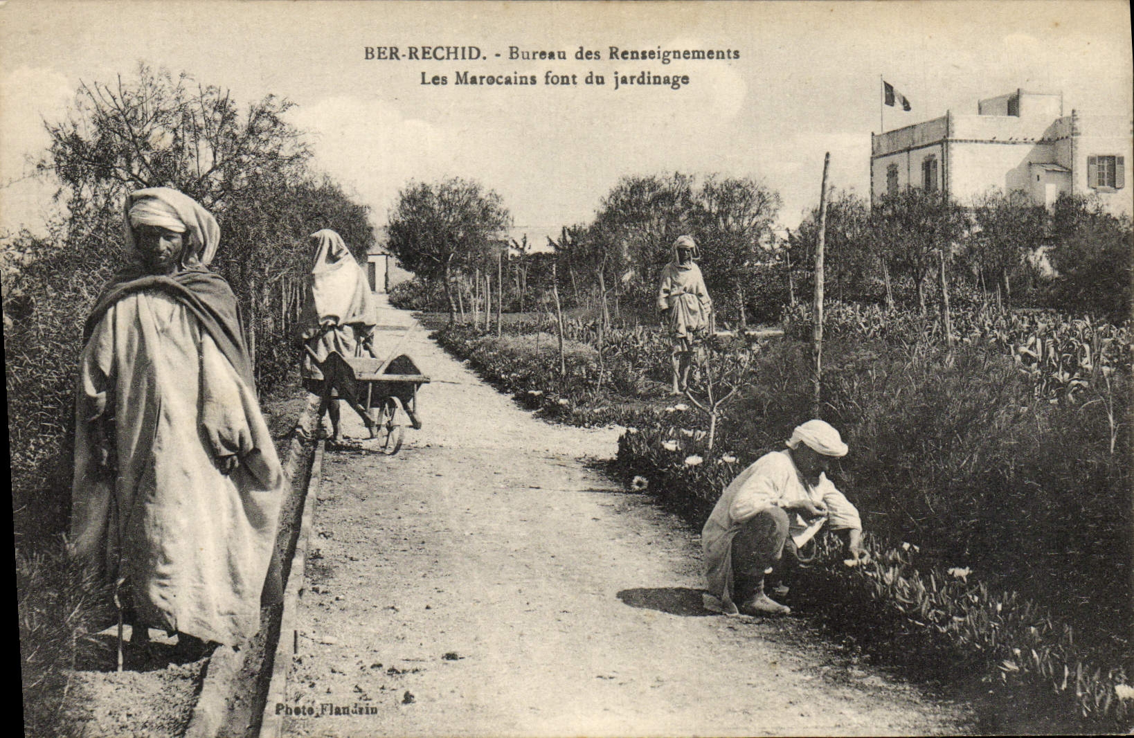 La oficina de Rechid de las azufaifas de la POSTAL de la VENDIMIA de la información el Morrocans hace cultivar un huerto