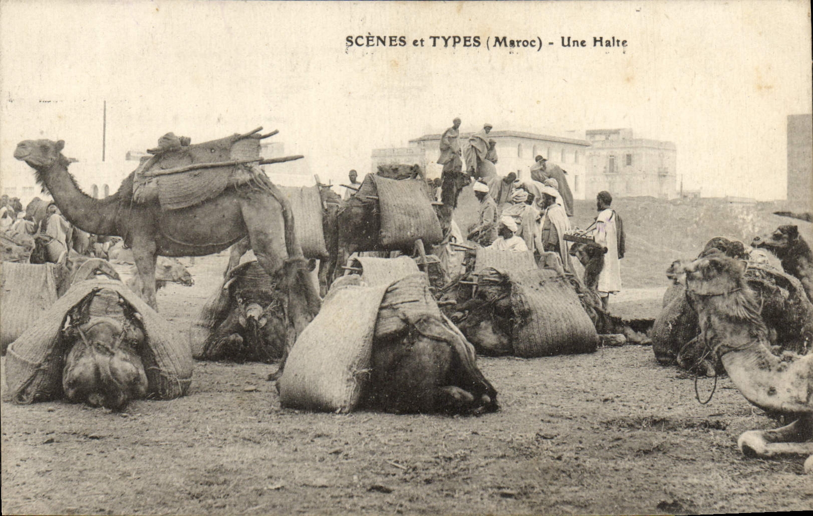 Escenas y tipos de la POSTAL de la VENDIMIA camellos de un alto