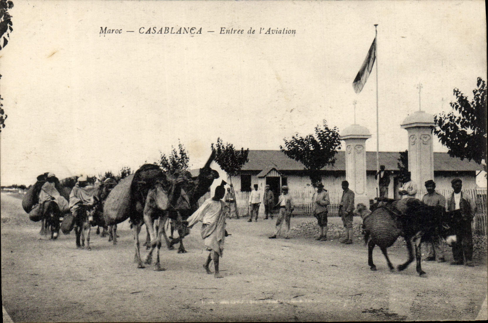CPA Maroc Casablanca Entree De l'Aviation Chameaux Ane