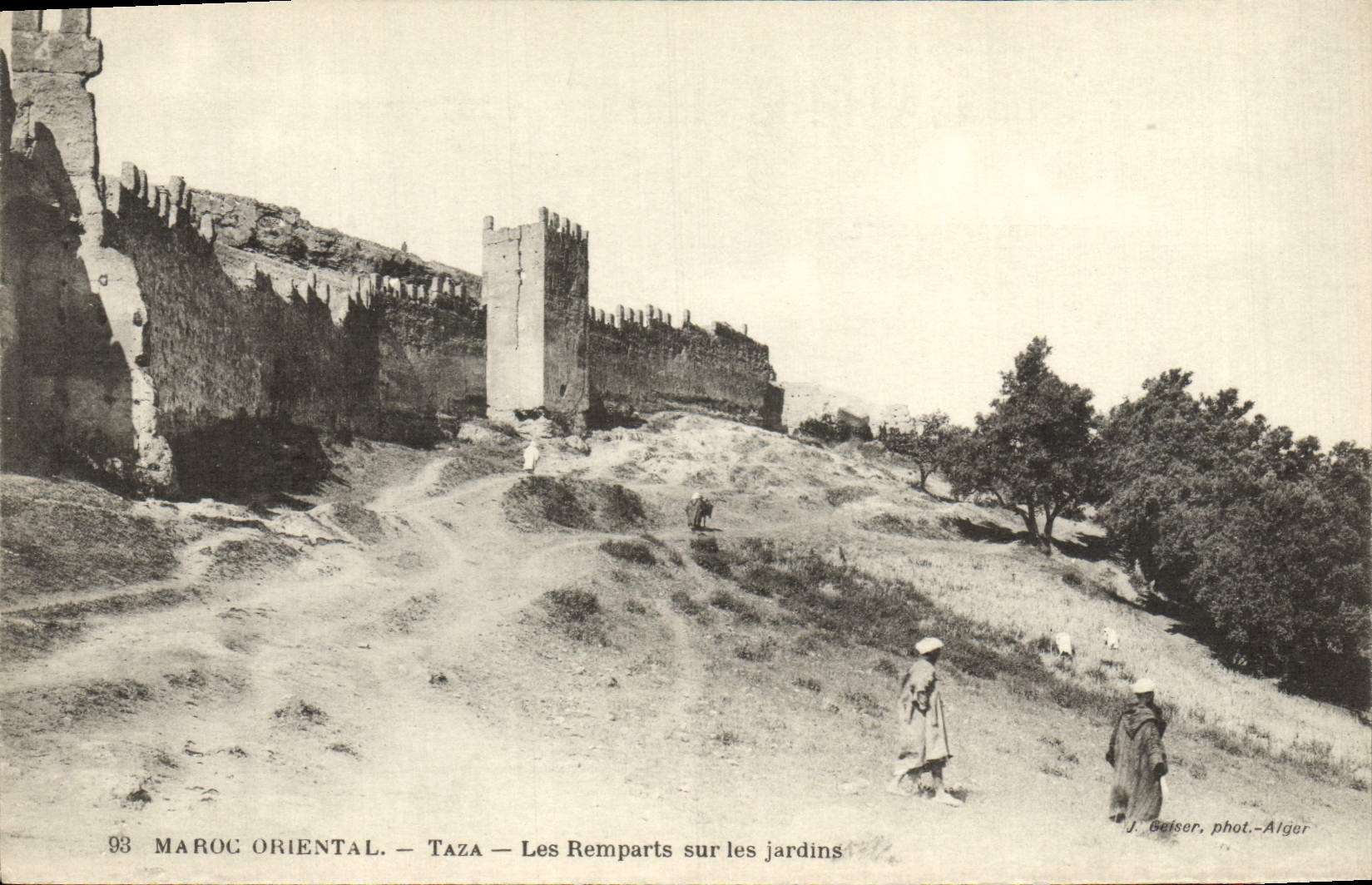 VINTAGE POSTCARD Eastern Morocco Taza Walls On the Gardens