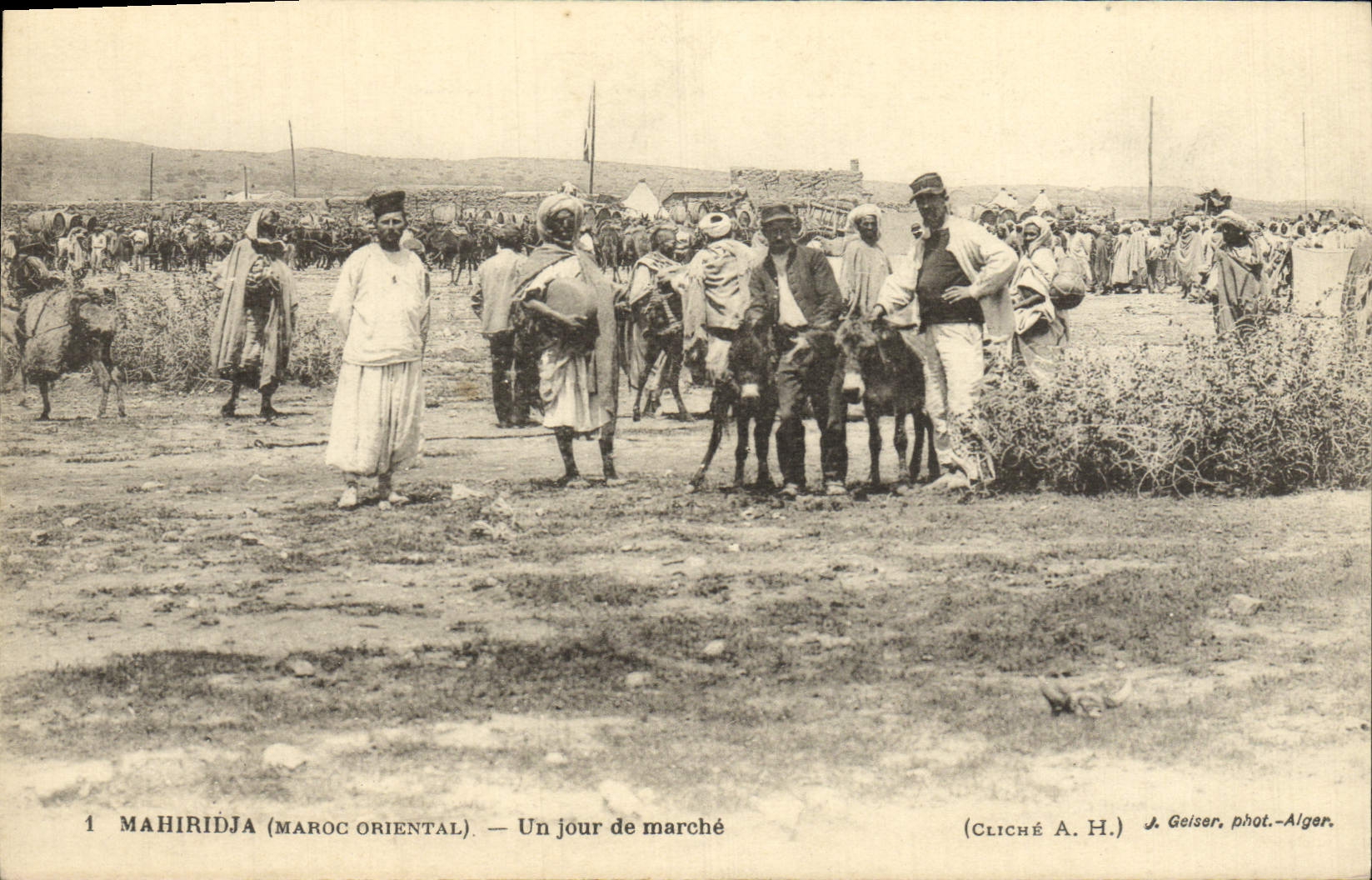 POSTAL Mahiridja de la VENDIMIA al día de mulas del asno del mercado