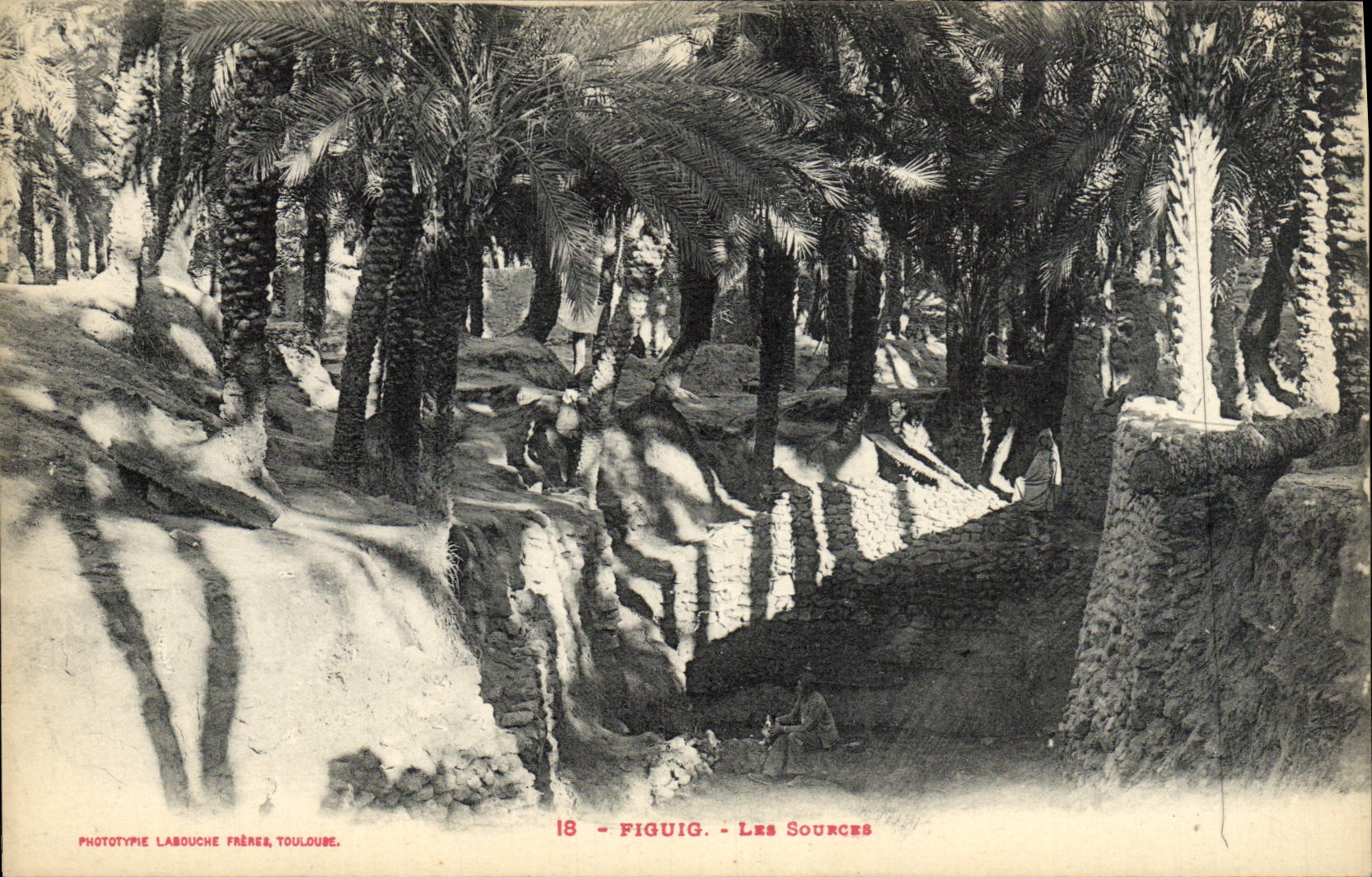 VINTAGE POSTCARD Figuig Sources