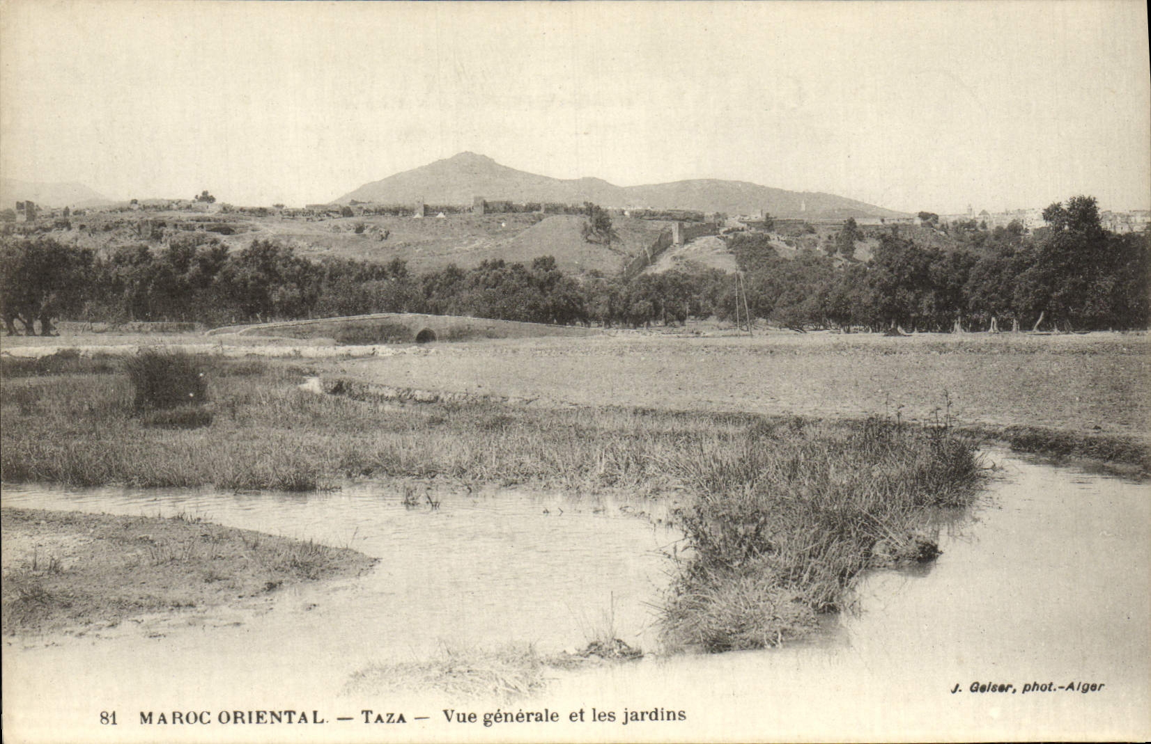 VINTAGE POSTCARD Eastern Morocco Taza View And Gardens