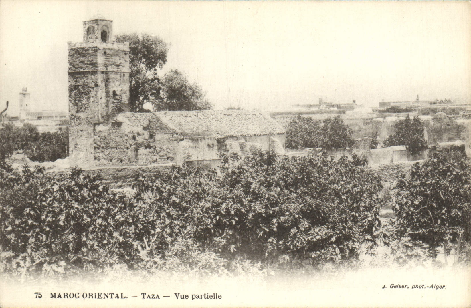 Parcial vista Taza del este de Marruecos de la POSTAL de la VENDIMIA