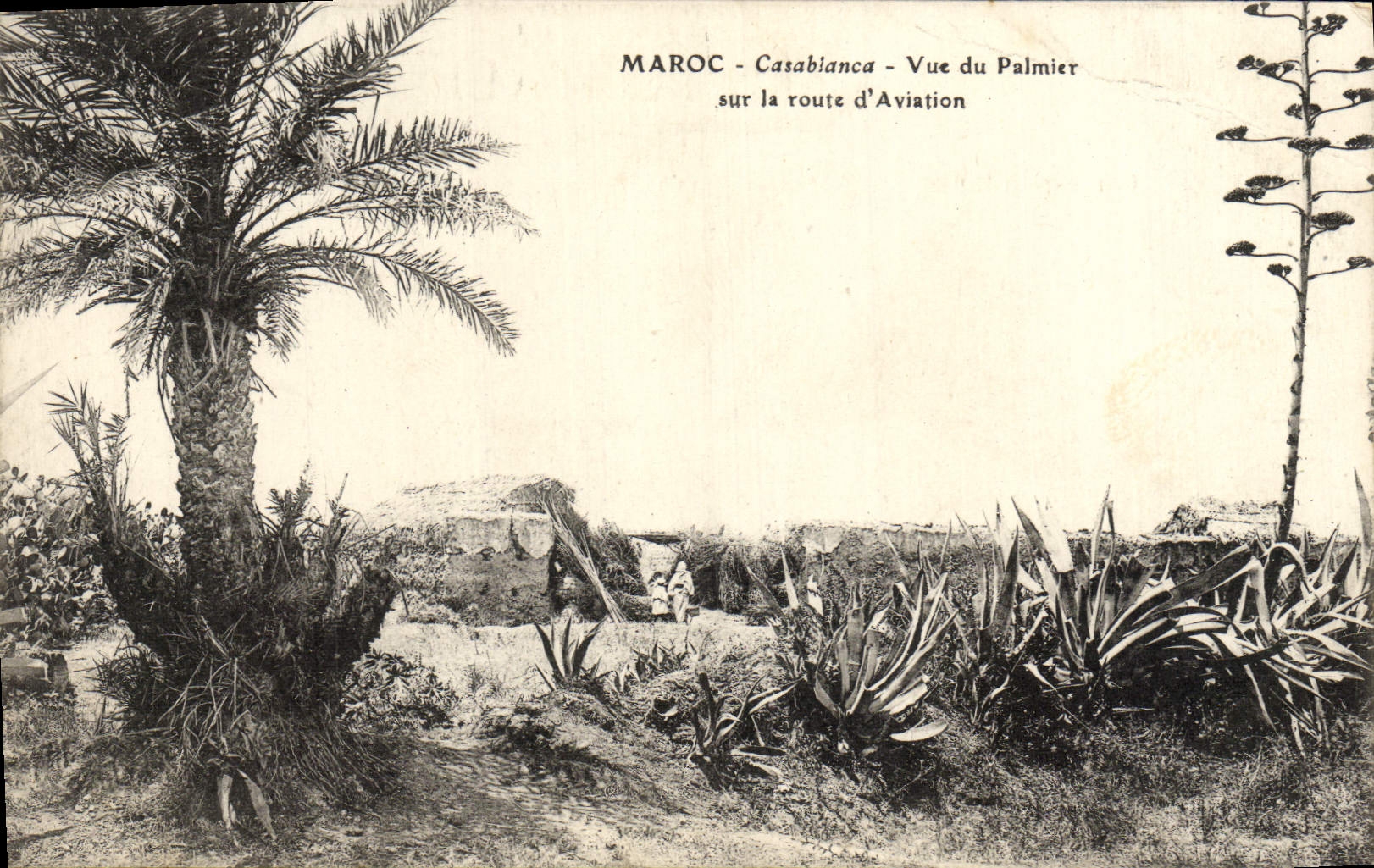 VINTAGE POSTCARD Morocco Casablanca seen Of the Palm tree On the Road of Aviation
