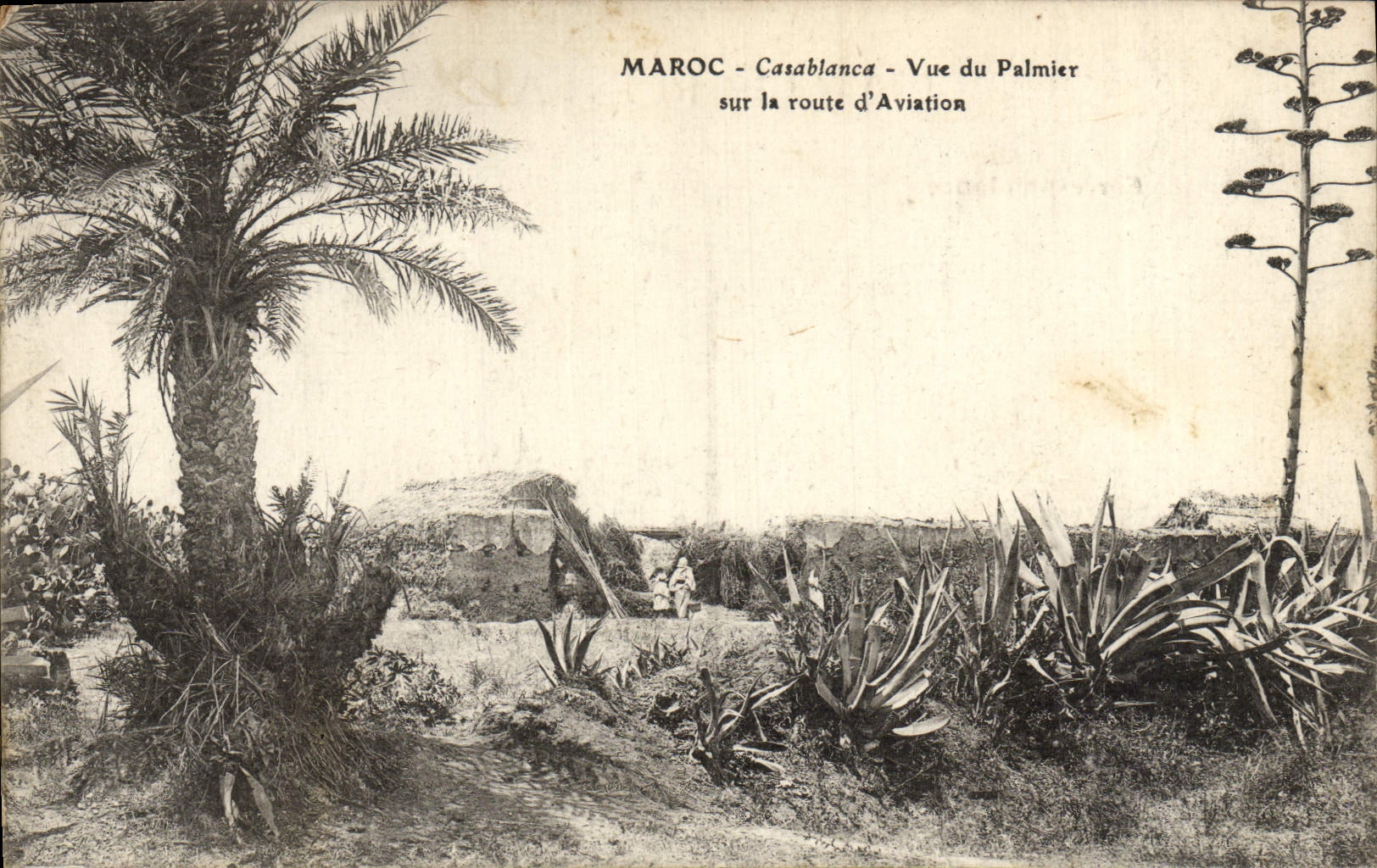 CPA Maroc Casablanca vue Du Palmier Sur La Route D'Aviation