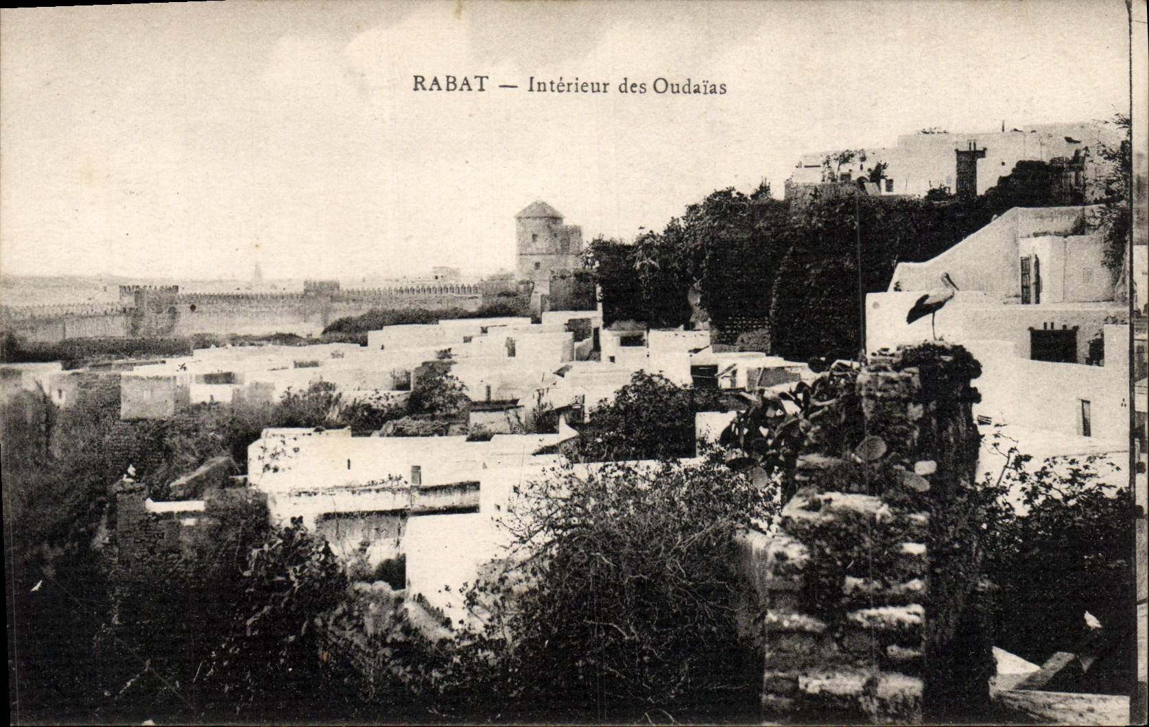 VINTAGE POSTCARD Interior Reduction Of Oudaias