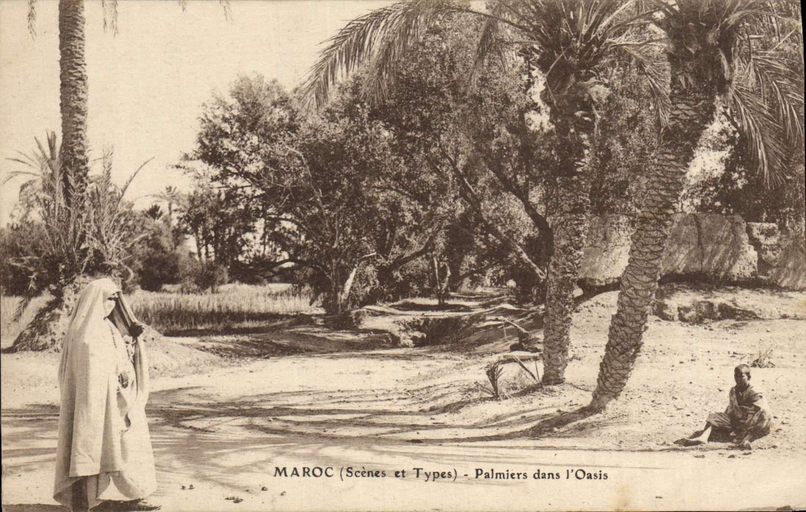 VINTAGE POSTCARD Morocco Palm trees In the Oasis