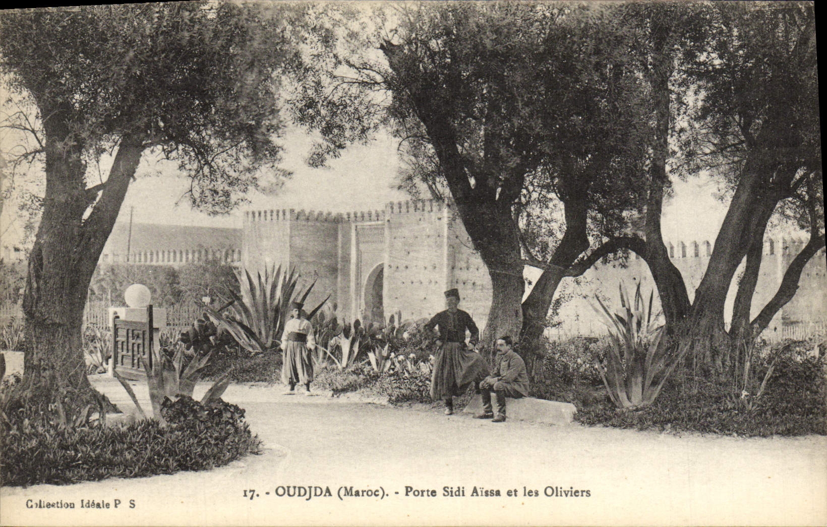 VINTAGE POSTCARD Oudjda Carries Sidi Aissa And the Olive-trees